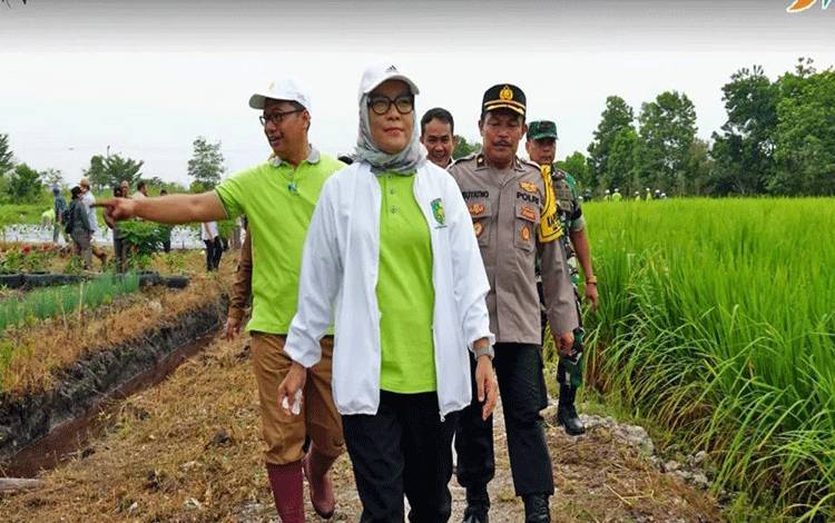 Milenial Palangka Raya Diajak Kembangkan Pertanian di Lahan Kosong