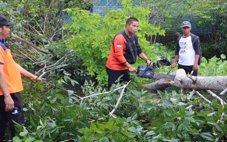Personel BPBD Palangka Raya Potong Pohon Tumbang