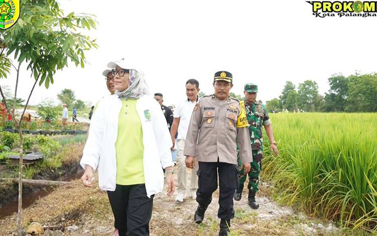 Petani Pahlawan Pangan, kata Pj Wali Kota Palangka Raya