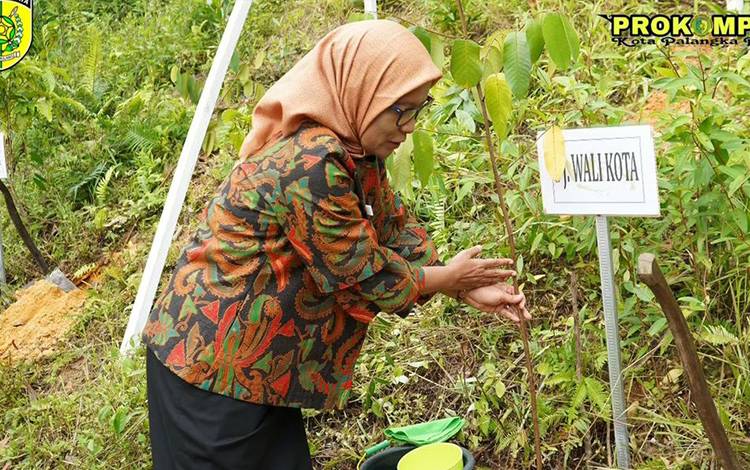 Pemko Palangka Raya Gencar Tanam Pohon untuk Lestarikan Hutan