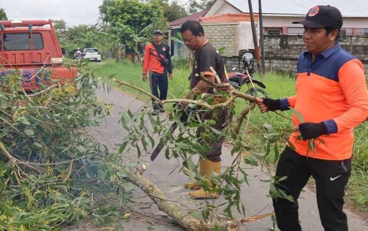 BPBD Palangka Raya Bersihkan Pohon Tumbang di Jalan Temanggung Kayapi