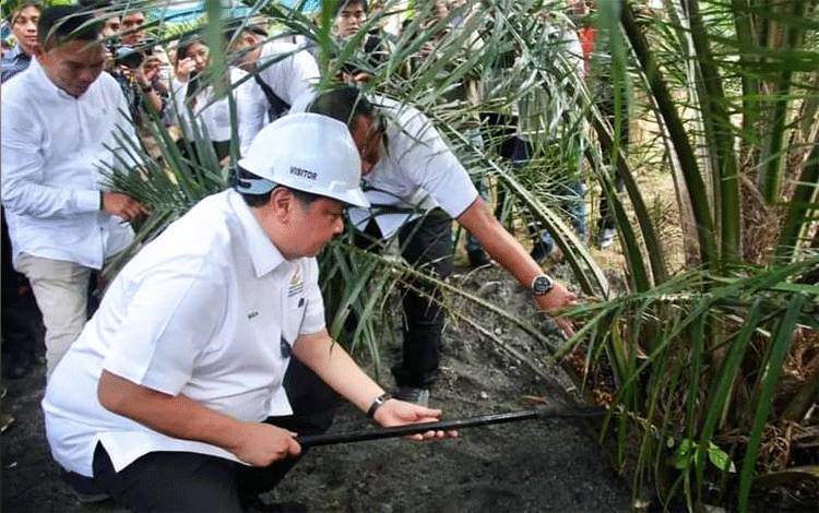 Lahan Pekebun Sawit Sering Dianggap Masuk Kawasan Hutan, Ini Kata Menteri Airlangga