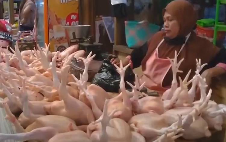Harga Daging Ayam Ras Rp45.000, Cabai Berangsur Turun