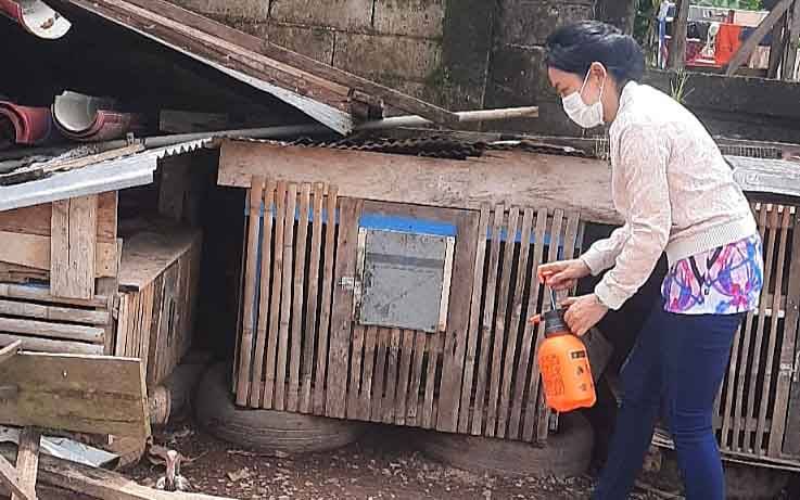 Diskanak Barito Timur Imbau Masyarakat Tidak Konsumsi Daging Ayam Mati Mendadak