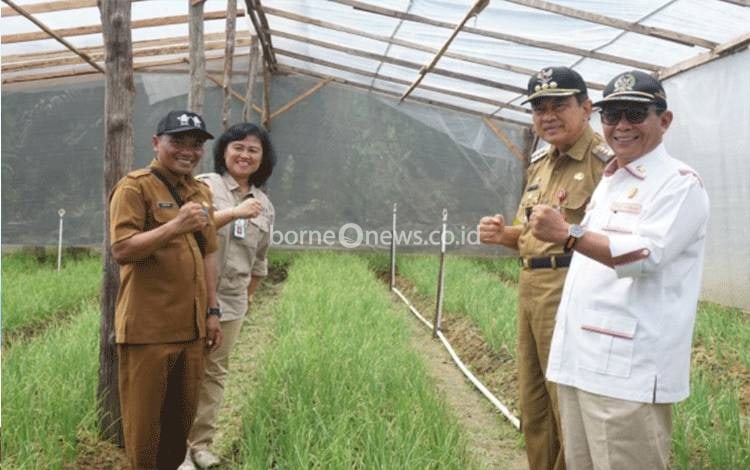 Dukung Budidaya Bawang Merah, Pj Bupati Kobar Harapkan Dapat Bantu Penuhi Kebutuhan Daerah