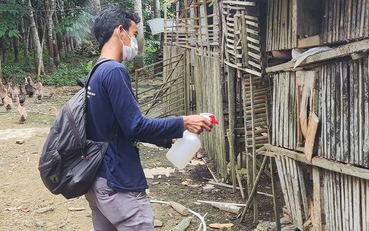 Hasil Laboratorium Telah Keluar, Ini Penyebab Kematian Unggas Secara Masif di Barito Timur