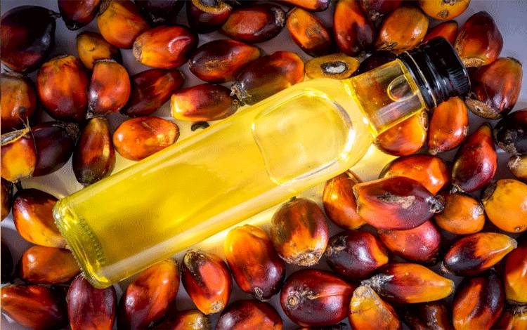DMSI Bongkar Kesalahpahaman Produk Hilir Sawit