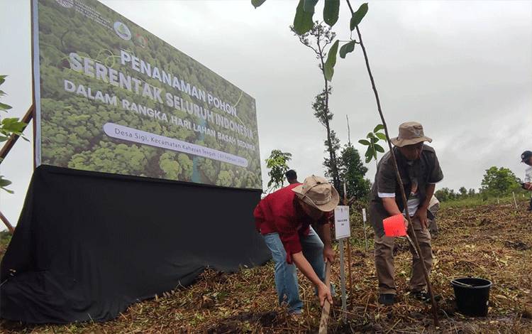Penanaman pohon dalam rangkaian peringatan hari lahan basah sedunia di Desa Sigi Pulang Pisau, Rabu, 7 Februari 2024. (FOTO: HERMAWAN)