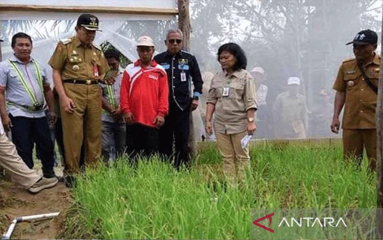 Pemkab Kobar Libatkan Kelompok Tani Kembangkan Bawang Merah