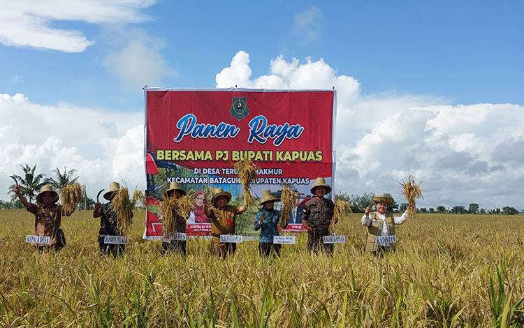 Hadiri Panen Raya Padi di Desa Terusan Makmur, Pj Bupati Kapuas Harapkan Hasilnya Dapat Bantu Penuhi Kebutuhan Daerah