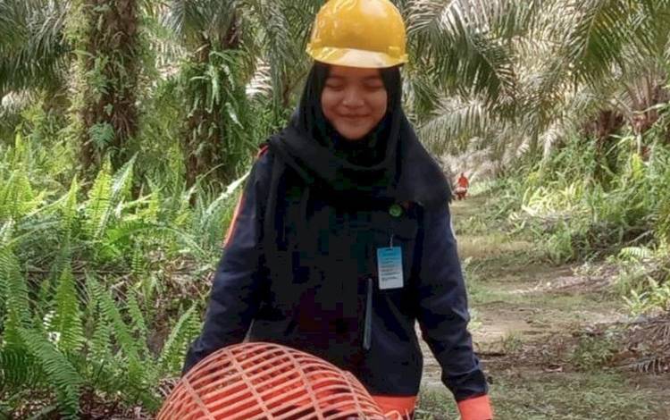 Memilih Mengejar Mimpi di Kebun Sawit