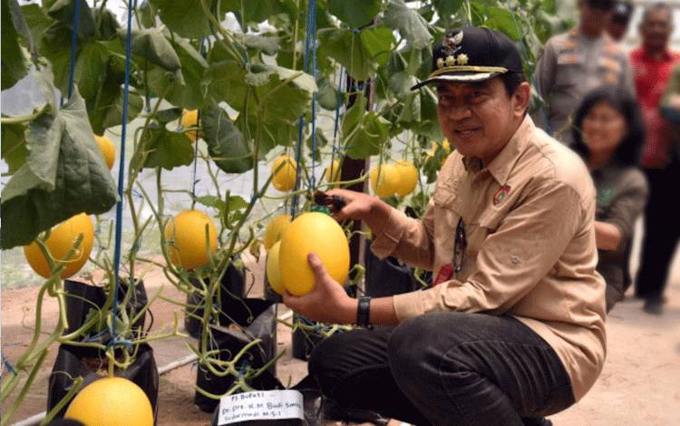 Sarana untuk Mencetak Petani Muda, Pj. Bupati Kobar Apresiasi P4S Karya Baru Mandiri