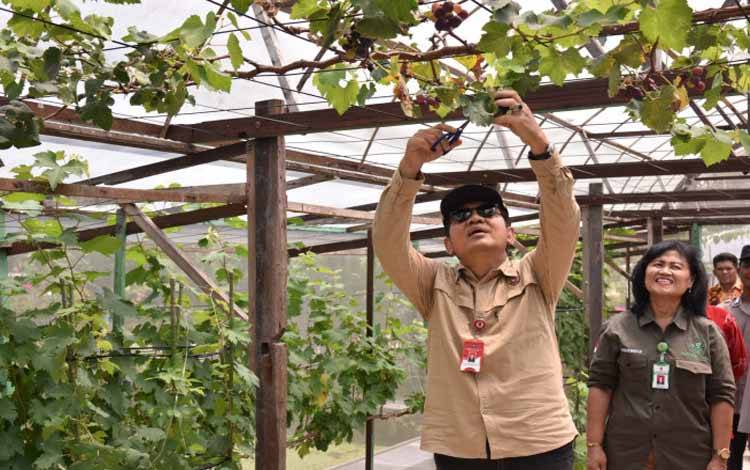 P4S Karya Baru Mandiri di Kubu Cetak Petani Muda Hadapi Tantangan Pertanian Masa Depan