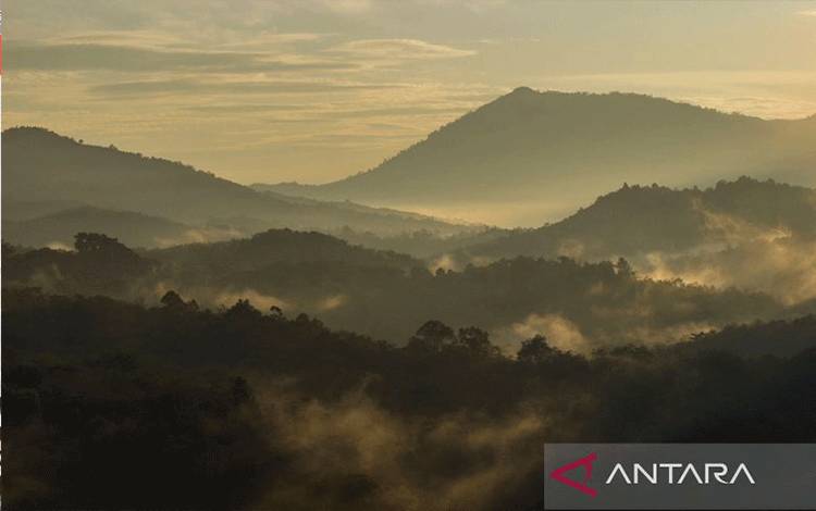 Pakar: Gempa Kalimantan Akibat Patahan Batuan Bergeser dari Pasifik
