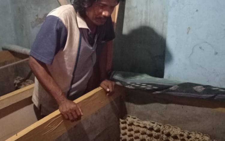 Ternak Jangkrik Mampu Tumbuhkan Ekonomi Keluarga