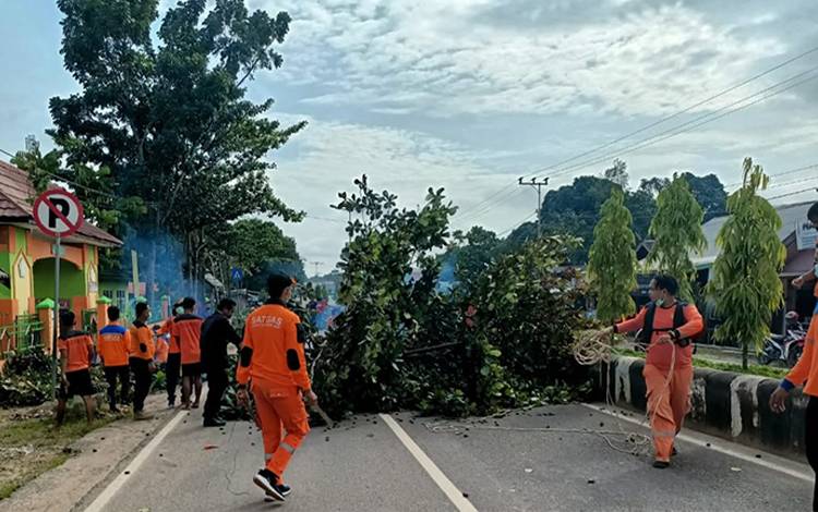 BPBD Antisipasi Bencana Alam di Lamandau  ?