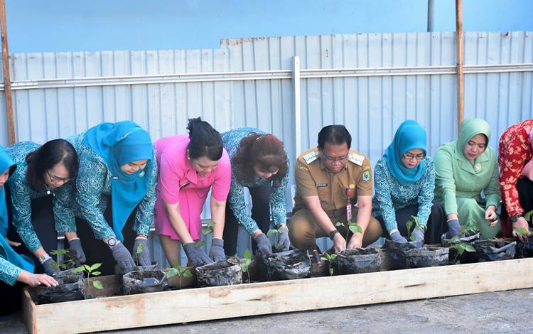 Pj Bupati Bersama PKK Kapuas Dukung Gerakan Tanam Cabai Serentak Peringati HGK PKK
