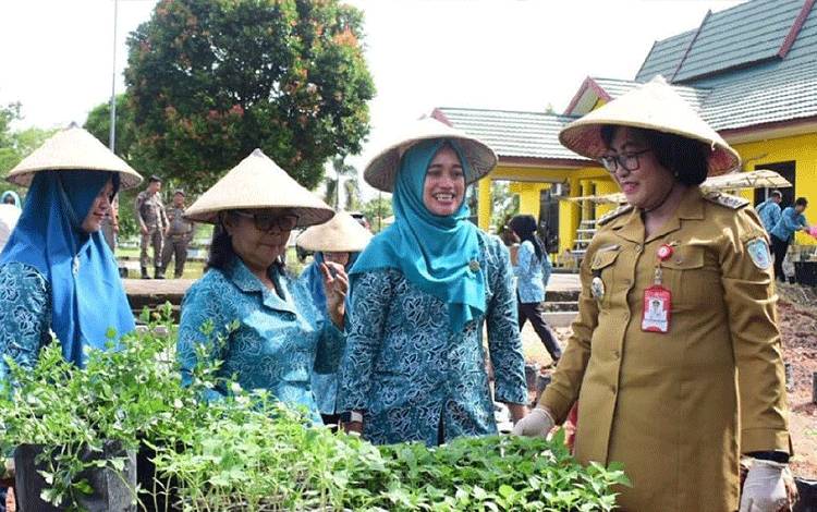 Pj Bupati Lamandau Tanam Cabai Bersama TP-PKK