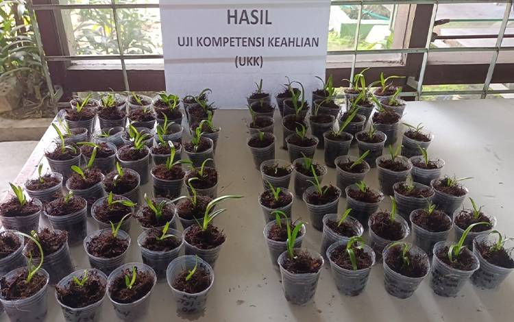 Kepala UPT BPPB-TPH Tegaskan Multifungsi Laboratorium Kultur Jaringan ?
