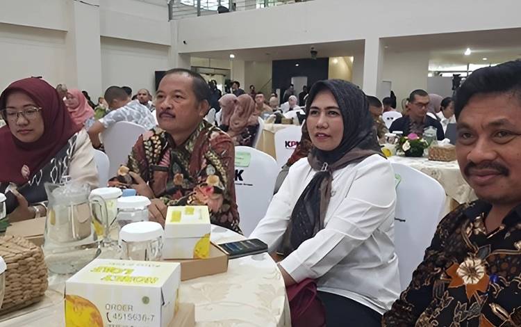 APIP Berperan Jaga Efisiensi dan Akuntabilitas ?