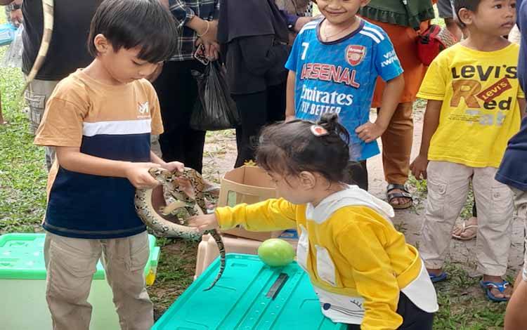 Edukasikan Anak dengan hewan Reptil