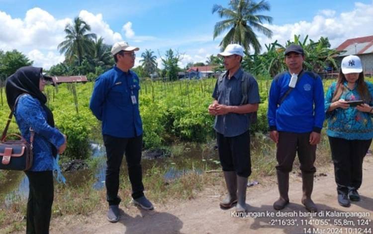 Hasil Peninjauan: 22 Hektar Lahan Pertanian di Palangka Raya Terdampak Banjir