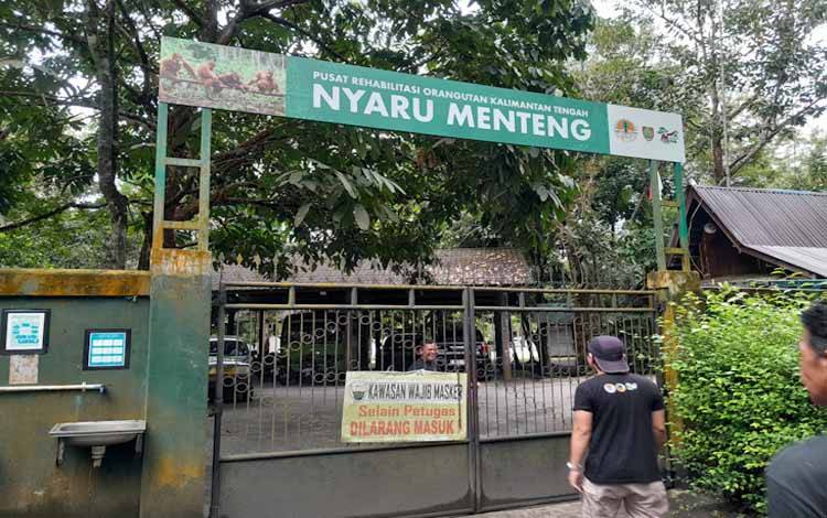 Agustan Saining Ajak Generasi Milenial Promosikan Nyaru Menteng Melewati Sosial Media