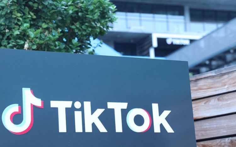 Eks Menkeu AS Kumpulkan Investor untuk Beli TikTok