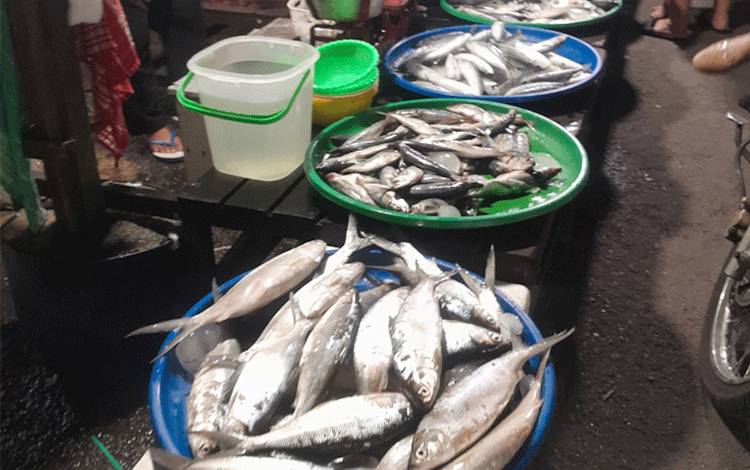 Dislutkan Bangun Kampung Budidaya Perikanan untuk Ketersediaan Ikan Segar