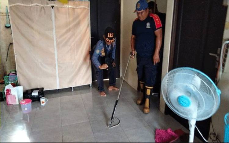 Warga Palangka Raya Diminta Waspadai Ular Masuk Rumah saat Banjir
