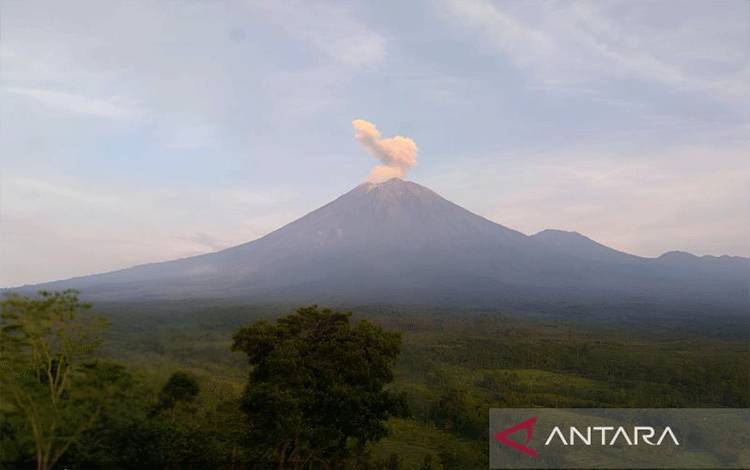 Ilustrasi - Kolom abu vulkanik tebal membumbung akibat aktivitas erupsi yang terjadi di Gunung Semeru, Jawa Timur, Rabu (6/3/2024). (ANTARA/HO-PVMBG) (ANTARA/HO-PVMBG)