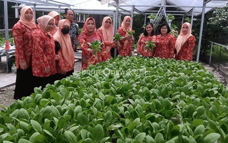 Sunarti Kalteng Apresiasi Pengembangan Hidroponik DWP Dinas TPHP