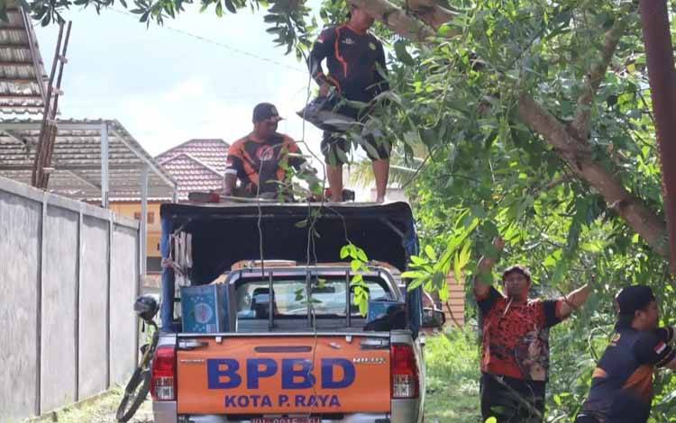 Tim BPBD Palangka Raya Pangkas Pohon Rawan Tumbang di Jalan Putri Junjung Buih III