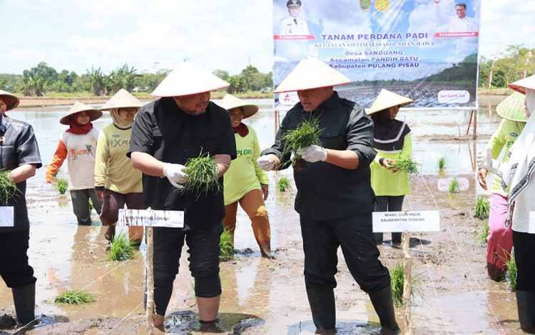 Dukung Ketahanan Pangan, Kalteng Pemprov Lakukan Hal ini di Pulang Pisau