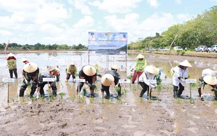 Pulang Pisau Dapat Alokasi Upsus Optimasi Lahan Rawa Seluas 21.000 Hektare