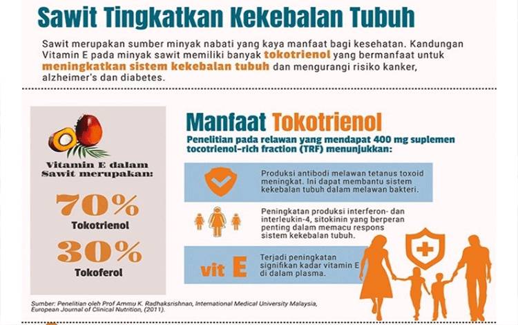 Infografis manfaat kelapa sawit yang dibuat Badan Pengelola Dana Perkebunan Kelapa Sawit atau BPDPKS.(FOTO: Foto BPDPKS)
