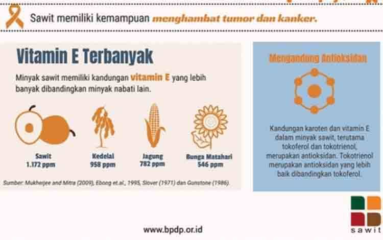 BPDPKS Tingkatkan Pemberdayaan Perkebunan Kelapa Sawit