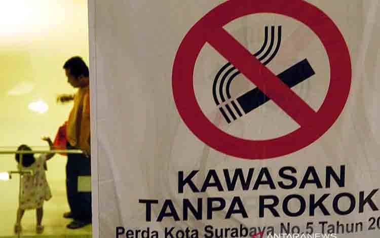 Pakar Nilai Pasal Terkait Tembakau Harus Dipisah dari RPP Kesehatan
