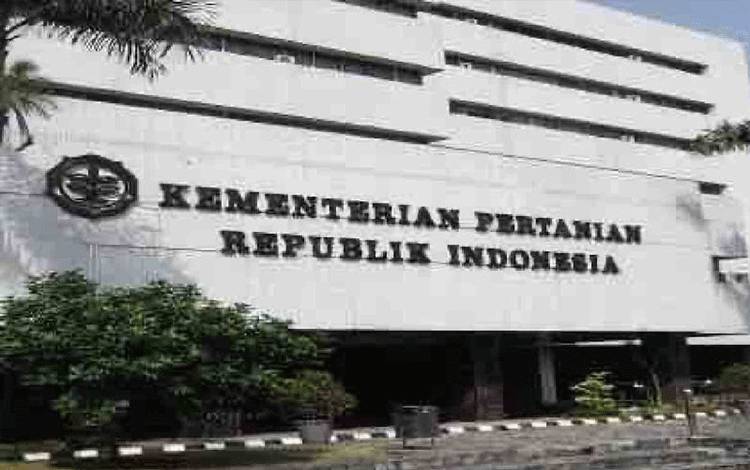 Kementan Buka Beasiswa 3.000 Orang Ciptakan SDM Unggul Perkelapasawitan