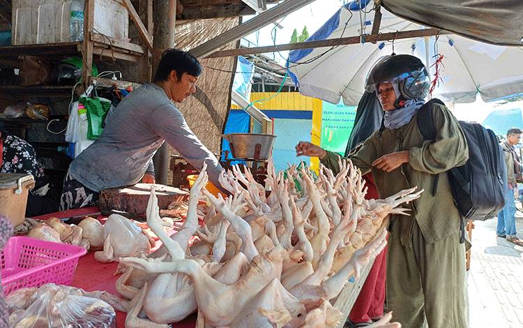Jelang Idul Fitri Harga Daging Ayam di Sampit Tembus Rp 48 Ribu