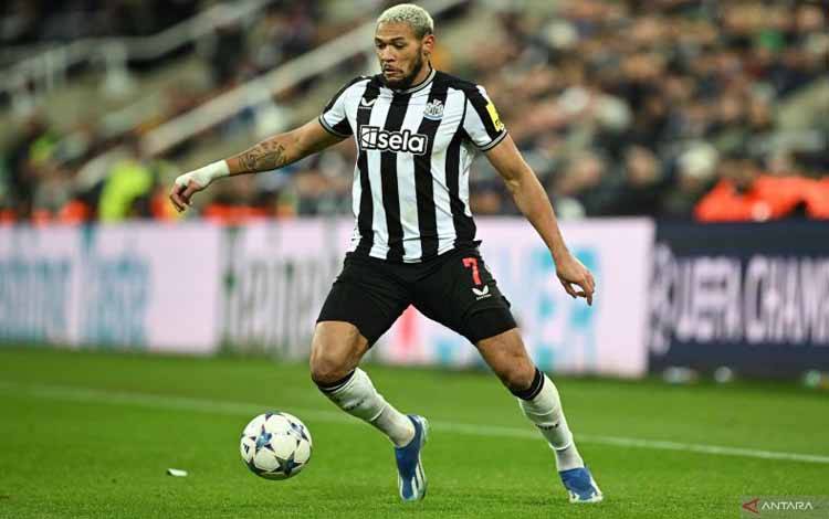 Striker Newcastle United asal Brasil #07 Joelinton mengontrol bola selama pertandingan sepak bola Grup F Liga Champions UEFA antara Newcastle United dan AC Milan di St James' Park di Newcastle-upon-Tyne, timur laut Inggris pada 13 Desember 2023. (ANTARA/AFP/Paul Ellis)