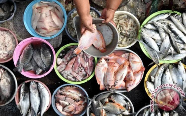 Konsumsi Ikan Sarden Hingga Teri Cegah 750 Ribu Kematian pada 2050