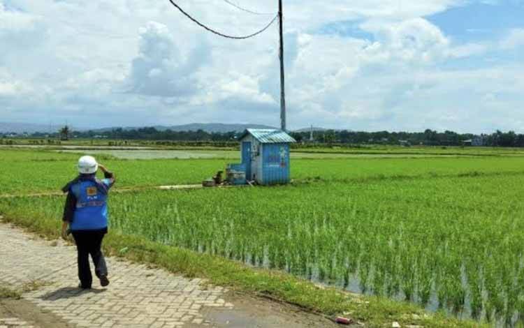 Kalteng Berkomitmen Sukseskan Perluasan Tanam Padi 64.326 Hektare