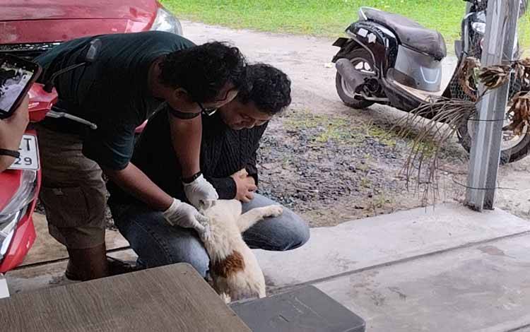 Waspada Urbanisasi Hewan Penular Rabies Pasca Mudik Libur Panjang