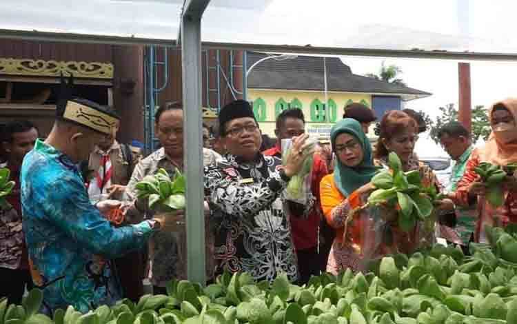 Sayuran Hidroponik Budi Daya DWP Disarpustaka Kapuas Dipanen