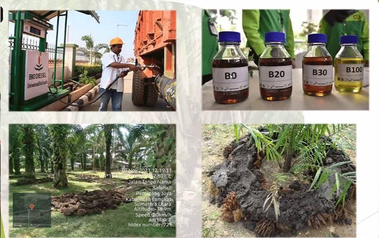 SSMS Produksi dan Jual Berbagai Produk Turunan Minyak Sawit