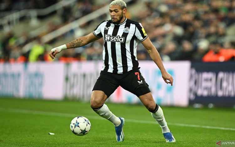 Striker Newcastle United asal Brasil #07 Joelinton mengontrol bola selama pertandingan sepak bola Grup F Liga Champions UEFA antara Newcastle United dan AC Milan di St James' Park di Newcastle-upon-Tyne, timur laut Inggris pada 13 Desember 2023. (Foto oleh Paul ELLIS / AFP) (AFP/PAUL ELLIS)