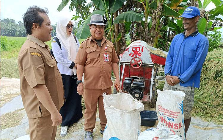 Kadis Pertanian Barito Timur: Realisasi Panen Padi di Dusun Tengah Sudah 70 Persen