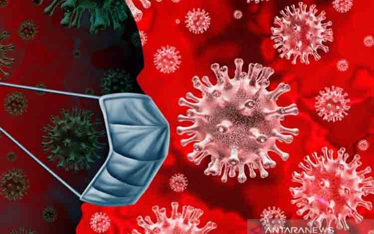 Wabah Virus Lassa di Nigeria Sebabkan 156 Orang Meninggal