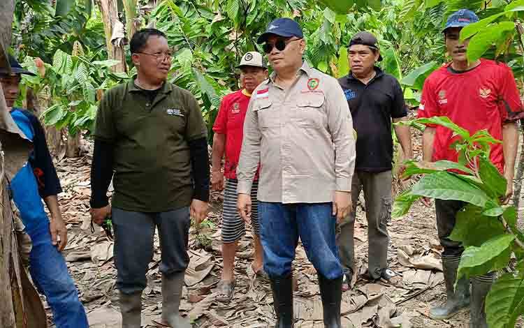 Mantan Kepala Dinas Pertanian Kabupaten Barito Timur Riza Rahmadi (kacamata hitam), saat mengunjungi petani kakao di Desa Pangkan Kecamatan Paku, Sabtu, 11 Mei 2024. (FOTO: BOLE MALO)